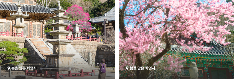 물 만난 도시:구례,봄을 맞은 화엄사