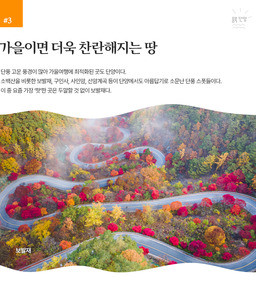 사진 설명: 가을이면 더욱 찬란해지는 땅 , 단풍 고운 풍경이 많아 가을여행에 최적화된 곳도 단양이다. 소백산을 비롯한 보발재, 구인사, 사인암, 선암계곡 등이 단양에서도 아름답기로 소문난 단풍 스폿들이다. 이 중 요즘 가장 ‘핫’한 곳은 두말할 것 없이 보발재다. 